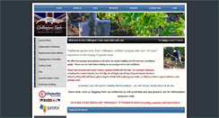 Desktop Screenshot of chillingtontoolsonline.co.uk